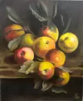 010-пр
